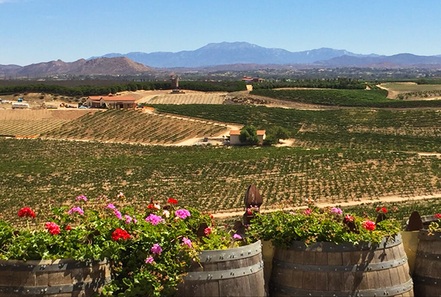Temecula Valley tours from San Diego and LA